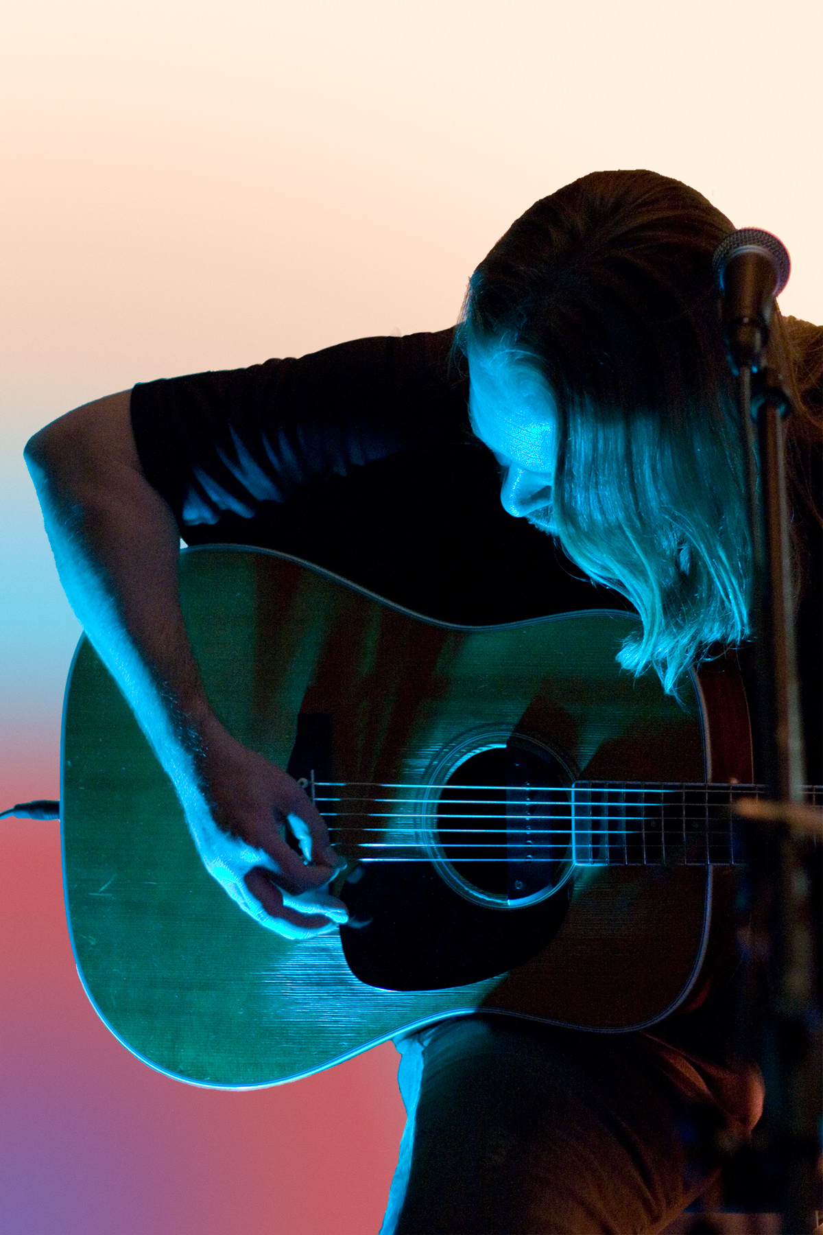 Bradley Royds Dogbar