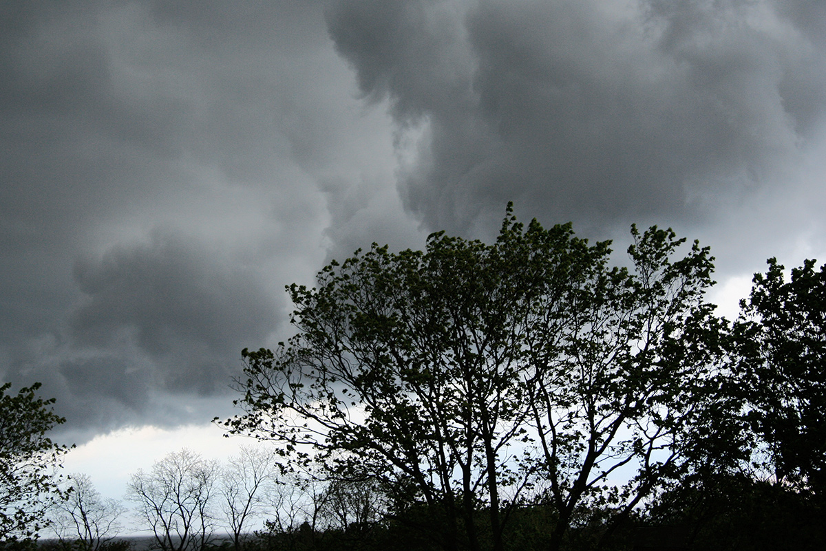 fine art-photos-storm-tree